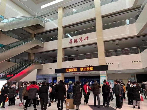 最美 冰墩墩 風雪凌晨逆行l西青醫院集結100名醫護支援大篩工作