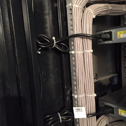 大興弱電布線工程公司的電子商務信息咨詢服務