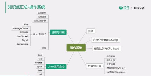 計(jì)算機(jī)網(wǎng)絡(luò)與操作系統(tǒng)理論在網(wǎng)絡(luò)系統(tǒng)集成中的應(yīng)用
